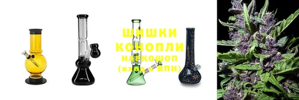 шишки Алзамай