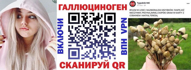 Псилоцибиновые грибы Magic Shrooms Североуральск